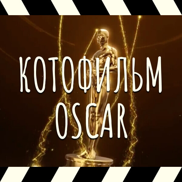Котофильм Oscar – игры и конкурсы на юбилей Вы всегда сможете скачать