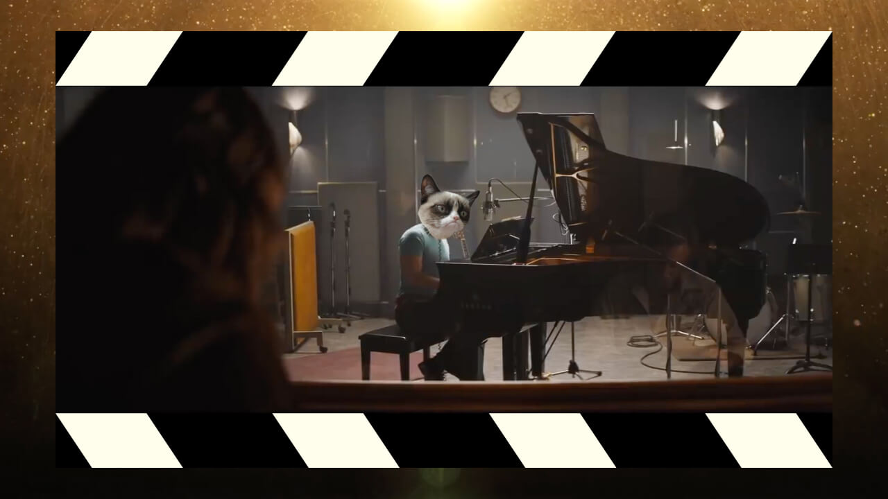 Котофильм Oscar – игры и конкурсы на юбилей Вы всегда сможете скачать